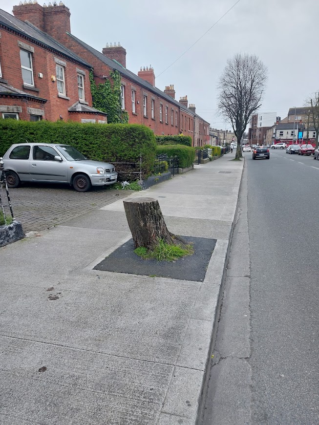Replacing the Missing Trees of the North Inner City